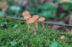 1783569292_26-09-14-(2).thumb.JPG.42ebbc899826eb46b9ed35e7e9e6a0a1.JPG