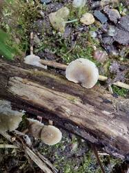 20260824_112616.thumb.jpg.f7c9b2c05fccd36f3303e1cf135f2241.jpg