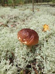 20260902_102759.jpg