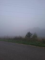 20260904_055148.jpg