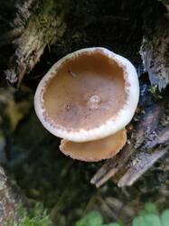 20260904_110024.thumb.jpg.c11eca092186ad48f772847b77375b83.jpg
