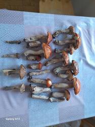 20260904_111355.jpg