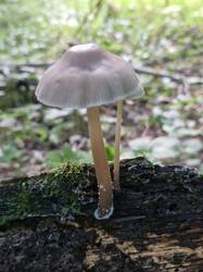 20260904_112347.thumb.jpg.030492cb32010056eb981b472bf67b57.jpg