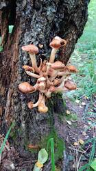20260904_123040_HDR.jpg
