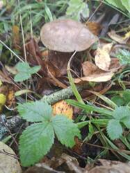 20260906_083401.jpg