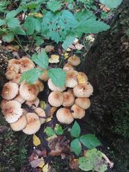 20260907_101348.jpg