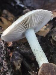 20260908_141003.thumb.jpg.dbc98deb2adfe2c1acea4462742253e5.jpg