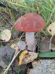 20260909_083625.jpg