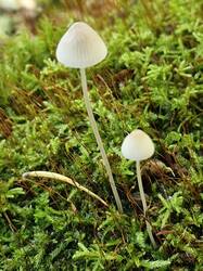 20260909_111651.thumb.jpg.6c9ceaec148a9a437009efb80c9d9a5d.jpg