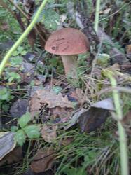 20260910_064135.jpg