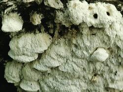 20260910_121303.thumb.jpg.1d180db790b2aee6e9b09469eddca1b8.jpg