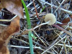 20260911_170736.thumb.jpg.f30138431aaa4b6d8d52641d5007399c.jpg