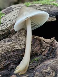 20260913_131619.thumb.jpg.3cbcb4e9ffcb784164c827b41eb5da40.jpg