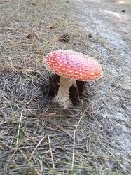 20260916_090622.jpg