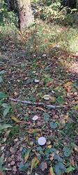 20260916_103510.jpg