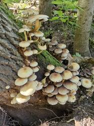20260916_113448.thumb.jpg.ca2868d305626c214ba62679264fb51e.jpg