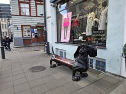 20260917_134820.thumb.jpg.c89e07ebc1e1c7b51cf503e7da4c0d08.jpg