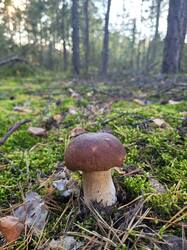 20260917_163951.thumb.jpg.0fef98731138d8b7e1c0f426c8f6acf2.jpg