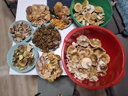 20260919_203819.thumb.jpg.cc60ff1c2dbe109a2297ff5acef607e4.jpg