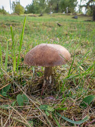 20260920-TAGE0073.thumb.jpg.ea210745c145a2c381933598a697425b.jpg