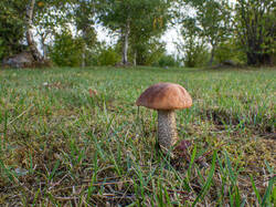 20260920-TAGE0239.thumb.jpg.d56ccdfe2ff5eb6da063df2c510d93cf.jpg