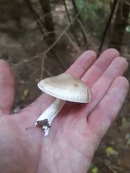 20260920_094256.thumb.jpg.566d729312f152cec45e93dd6d09aea5.jpg