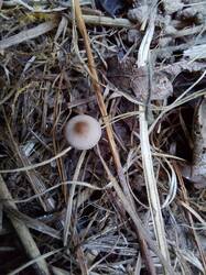 20260921_173911.thumb.jpg.fb94af863a4b9baa16eab1c9927b9656.jpg