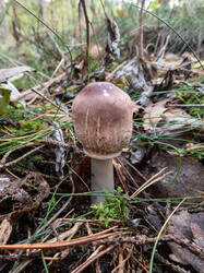 20260923-TAGE0757.thumb.jpg.bb35cd3e45d558d00bb1251d9cb480f7.jpg