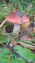 20260923_094816.jpg