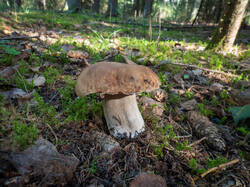 20260924-TAGE0046.thumb.jpg.045eaec493c8d265ab36311def28afb6.jpg