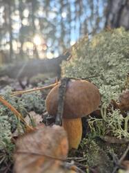 20260928_161520.jpg