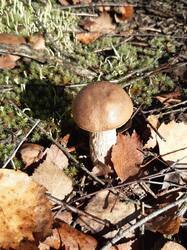 20260930_092332.jpg