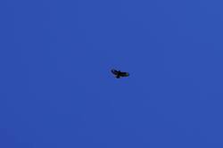 2045106401_26-09-04-(1).thumb.JPG.9677a753019884b77b473e44f33424ad.JPG
