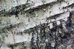 2089025544_26-09-19-(2).thumb.JPG.44fb1bd2d93eddecbea856ed29bc8793.JPG