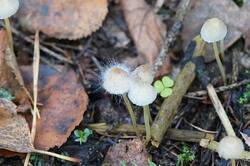 503826553_26-09-27-(3).thumb.JPG.a12c3e5f6ff0eedb4e0e1b0cb25770ee.JPG