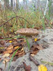 IMG_20260926_092256[1].jpg