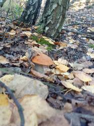 IMG_20260908_075633[1].jpg