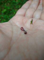 8.thumb.jpg.13f067ea722948d3c357032b03b7536f.jpg