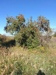 IMG_20260903_090012[1].jpg