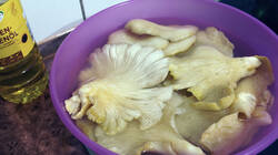 DSC00117.thumb.JPG.c2b12e2d4fecea796b6005e352650c1b.JPG