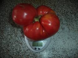 DSC01498.thumb.JPG.6d45e99f6e6d4f49bb7d06a50e8e14aa.JPG