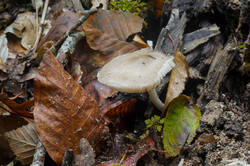 DSC09354.jpg