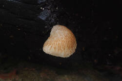 DSC09359.jpg