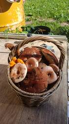IMG-20260908-WA0001.jpg