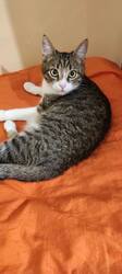 IMG-20260925-WA0001.thumb.jpg.fc7d66c05671e5ed4ba378489b112a71.jpg