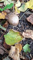 IMG-20260927-WA0001.jpg