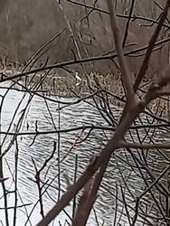 IMG20241124150221.thumb.jpg.89a7f2734e60867efcdb22eda551ccce.jpg
