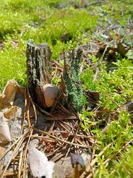IMG20260830110540.thumb.jpg.8066e898d0bd46dbc5cf4a6bb9e03bbb.jpg