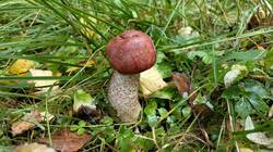 IMG20260902133519.jpg