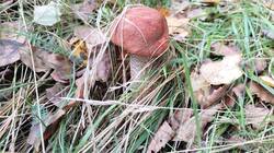 IMG20260902144743.jpg